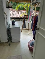 Tanglin Park (D10), Condominium #445978531